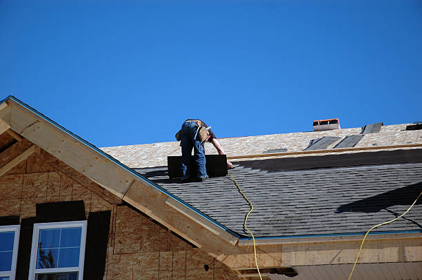 Roof Gutter Cleaning in Laurens, IA
