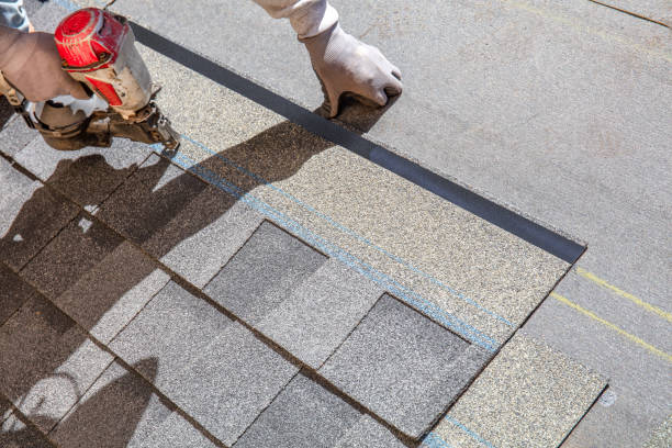 Best Metal Roofing Contractor  in Laurens, IA